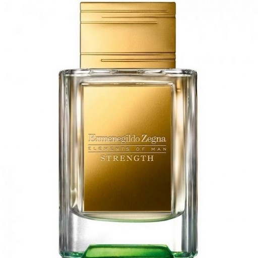 Ermenegildo Zegna Strength 50ml Eau De Parfum – Merci.am Perfume